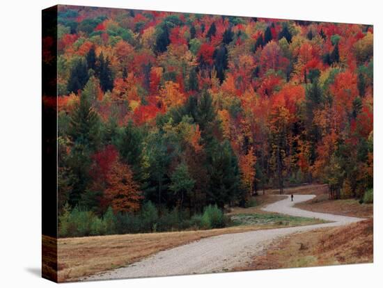 Central Vermont in the Fall, USA-Charles Sleicher-Stretched Canvas