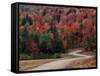 Central Vermont in the Fall, USA-Charles Sleicher-Framed Stretched Canvas