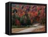 Central Vermont in the Fall, USA-Charles Sleicher-Framed Stretched Canvas