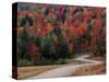 Central Vermont in the Fall, USA-Charles Sleicher-Stretched Canvas