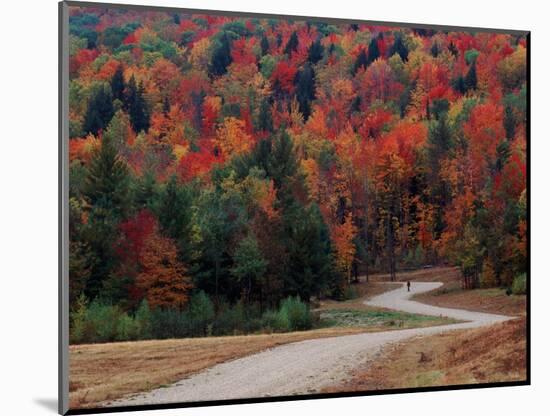 Central Vermont in the Fall, USA-Charles Sleicher-Mounted Photographic Print