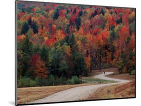 Central Vermont in the Fall, USA-Charles Sleicher-Mounted Photographic Print
