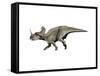 Centrosaurus Dinosaur-null-Framed Stretched Canvas