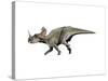 Centrosaurus Dinosaur-null-Stretched Canvas