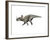 Centrosaurus Dinosaur-null-Framed Art Print