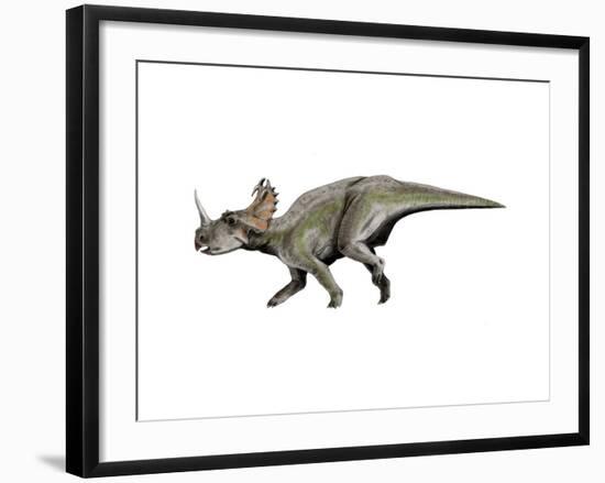 Centrosaurus Dinosaur-null-Framed Art Print