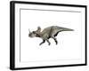 Centrosaurus Dinosaur-null-Framed Art Print
