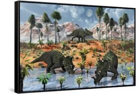 Centrosaurus Dinosaurs at a Watering Place-null-Framed Stretched Canvas