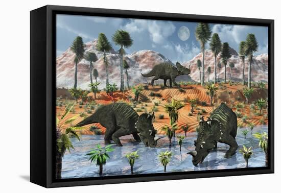 Centrosaurus Dinosaurs at a Watering Place-null-Framed Stretched Canvas