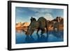 Centrosaurus Dinosaurs Grazing at a Watering Place-null-Framed Art Print