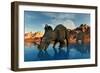 Centrosaurus Dinosaurs Grazing at a Watering Place-null-Framed Art Print