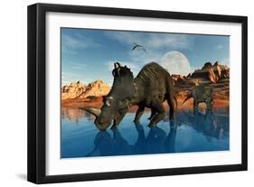 Centrosaurus Dinosaurs Grazing at a Watering Place-null-Framed Art Print