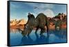 Centrosaurus Dinosaurs Grazing at a Watering Place-null-Framed Stretched Canvas