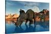 Centrosaurus Dinosaurs Grazing at a Watering Place-null-Stretched Canvas