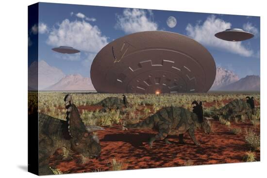 Stretched Canvas Print, , large