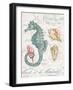 Centuria Seahorse-Chad Barrett-Framed Art Print