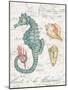 Centuria Seahorse-Chad Barrett-Mounted Art Print