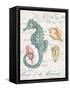 Centuria Seahorse-Chad Barrett-Framed Stretched Canvas