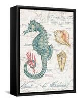 Centuria Seahorse-Chad Barrett-Framed Stretched Canvas