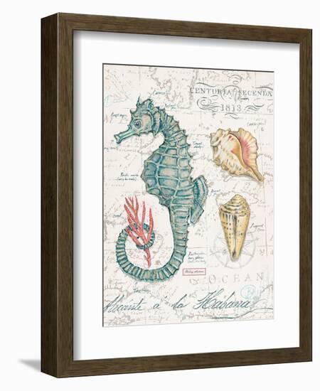 Centuria Seahorse-Chad Barrett-Framed Art Print