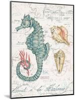 Centuria Seahorse-Chad Barrett-Mounted Art Print