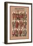 Centurions - the Well-Attired Roman Warrior-Friedrich Hottenroth-Framed Art Print