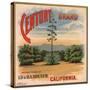 Century Brand - Los Angeles, California - Citrus Crate Label-Lantern Press-Stretched Canvas
