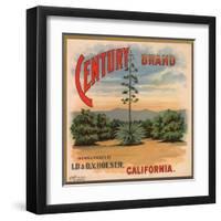 Century Brand - Los Angeles, California - Citrus Crate Label-Lantern Press-Framed Art Print