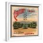 Century Brand - Los Angeles, California - Citrus Crate Label-Lantern Press-Framed Art Print