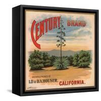 Century Brand - Los Angeles, California - Citrus Crate Label-Lantern Press-Framed Stretched Canvas