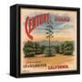 Century Brand - Los Angeles, California - Citrus Crate Label-Lantern Press-Framed Stretched Canvas
