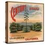 Century Brand - Los Angeles, California - Citrus Crate Label-Lantern Press-Stretched Canvas