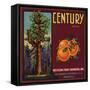 Century Brand - Los Angeles, California - Citrus Crate Label-Lantern Press-Framed Stretched Canvas