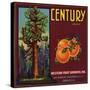 Century Brand - Los Angeles, California - Citrus Crate Label-Lantern Press-Stretched Canvas