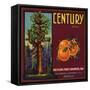 Century Brand - Los Angeles, California - Citrus Crate Label-Lantern Press-Framed Stretched Canvas