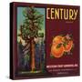 Century Brand - Los Angeles, California - Citrus Crate Label-Lantern Press-Stretched Canvas