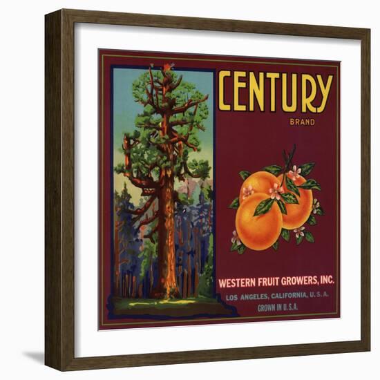 Century Brand - Los Angeles, California - Citrus Crate Label-Lantern Press-Framed Art Print