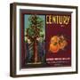 Century Brand - Los Angeles, California - Citrus Crate Label-Lantern Press-Framed Art Print