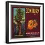 Century Brand - Los Angeles, California - Citrus Crate Label-Lantern Press-Framed Art Print