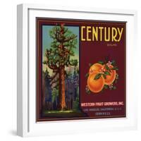 Century Brand - Los Angeles, California - Citrus Crate Label-Lantern Press-Framed Art Print