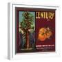 Century Brand - Los Angeles, California - Citrus Crate Label-Lantern Press-Framed Art Print