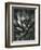 Century Plant, Baja California, 1968-Brett Weston-Framed Photographic Print