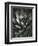 Century Plant, Baja California, 1968-Brett Weston-Framed Premium Photographic Print