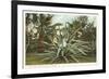 Century Plant with Little Girl Inside-null-Framed Art Print