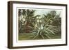 Century Plant with Little Girl Inside-null-Framed Art Print