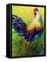 CEO Rooster-Marion Rose-Framed Stretched Canvas