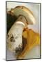 Cep and Chanterelle-Eising Studio - Food Photo and Video-Mounted Photographic Print