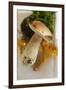 Cep, Chanterelles and Moss-Eising Studio - Food Photo and Video-Framed Photographic Print