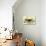 Ceramic Art, Ancient Greek, Cyprian and Etruscan-null-Giclee Print displayed on a wall