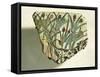 Ceramic Fragment Depicting Calf Running Among Papyrus Plants-null-Framed Stretched Canvas